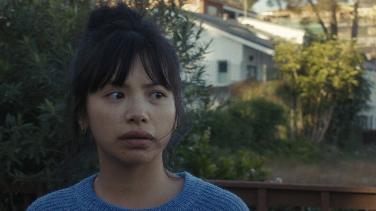 Tuesday Tuesday backdrop