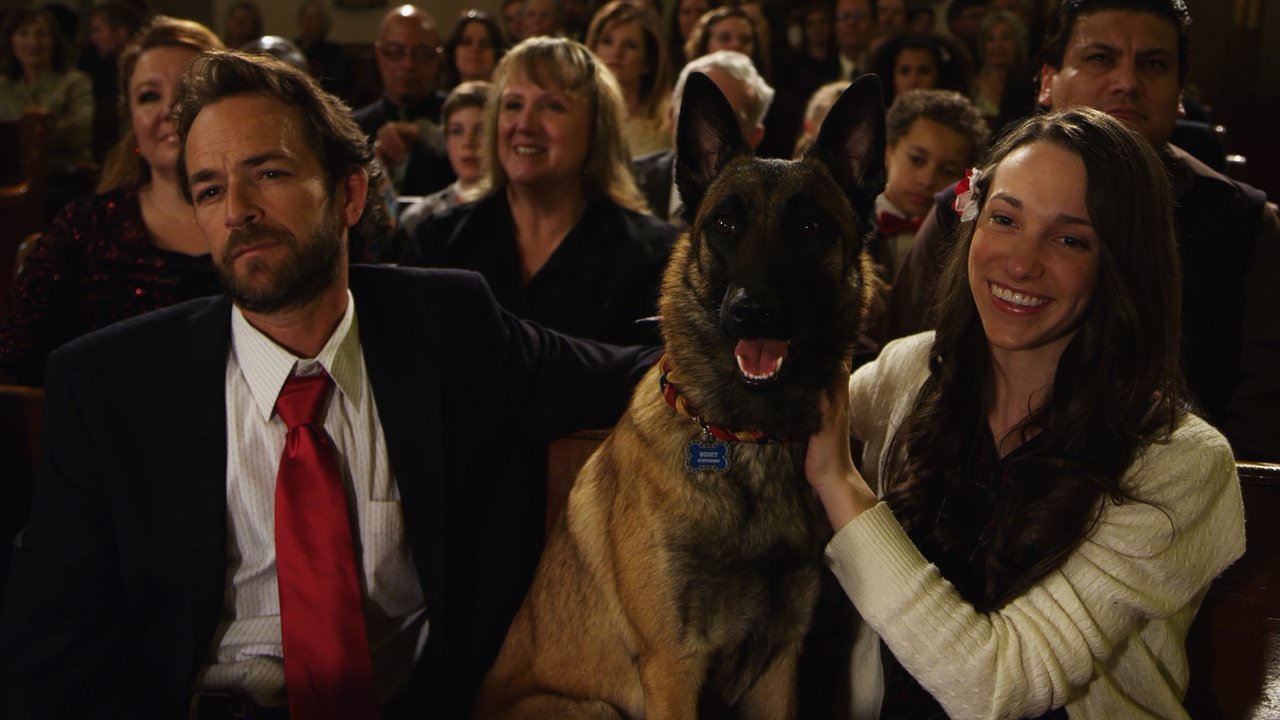 K-9 Adventures: A Christmas Tale backdrop