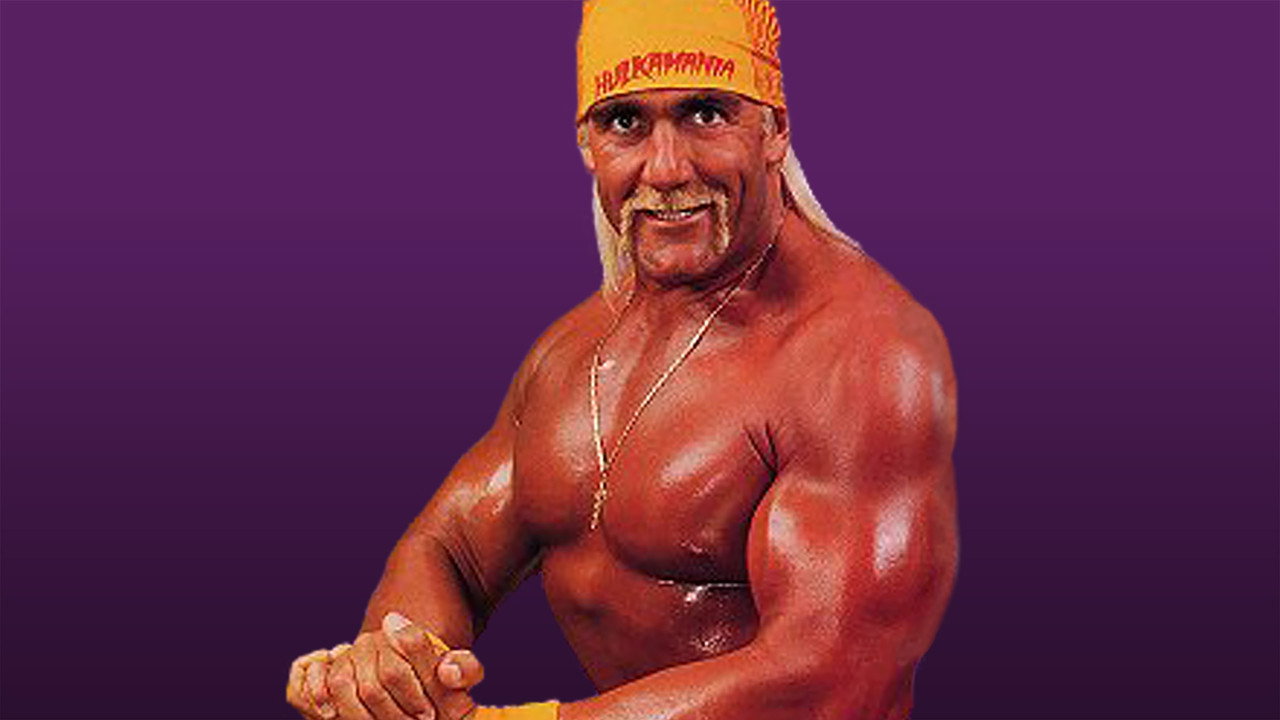 WWE King of the Ring 1993 backdrop