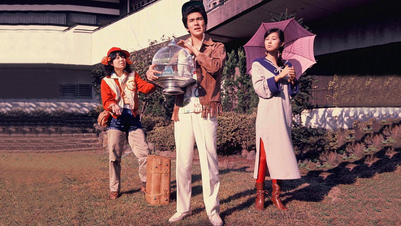 Crocodile, Parrot and Fur Seal backdrop