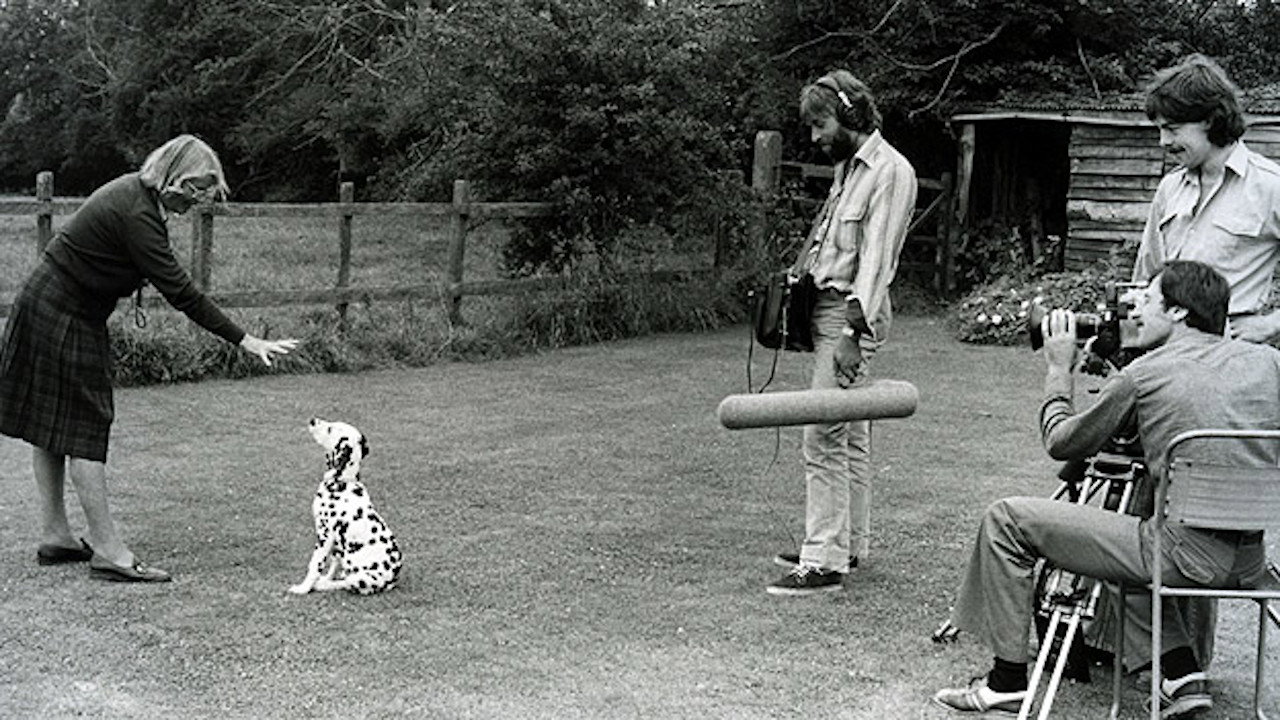 Training Dogs the Woodhouse Way backdrop