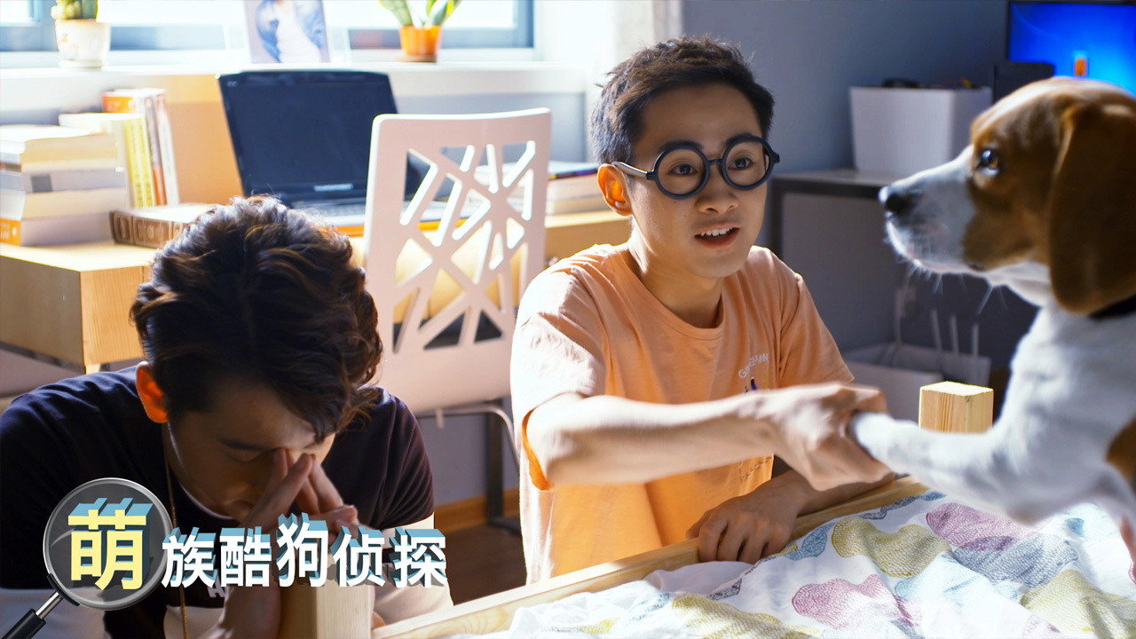 Cool Dog Detective backdrop