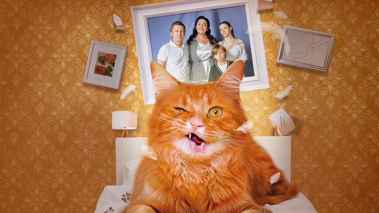 Cat-astrophe backdrop