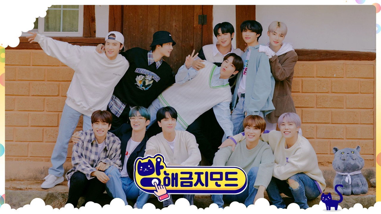 DND (Do Not Disturb) THE BOYZ backdrop