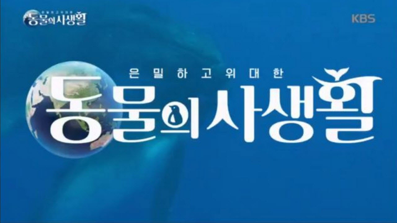 Secrets of Wildlife backdrop