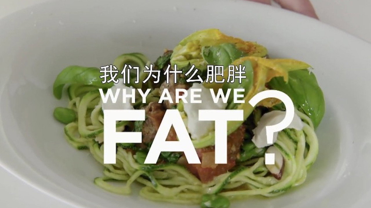 Why Are We Getting So Fat? backdrop