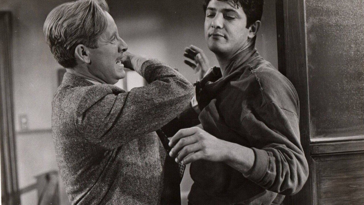 The Violators backdrop