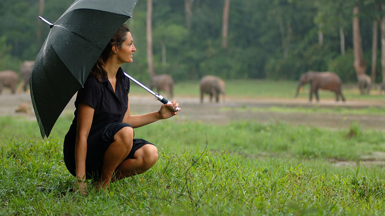 Unknown Africa backdrop