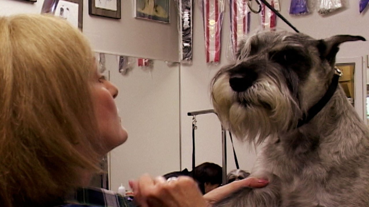 Going to the Dogs backdrop