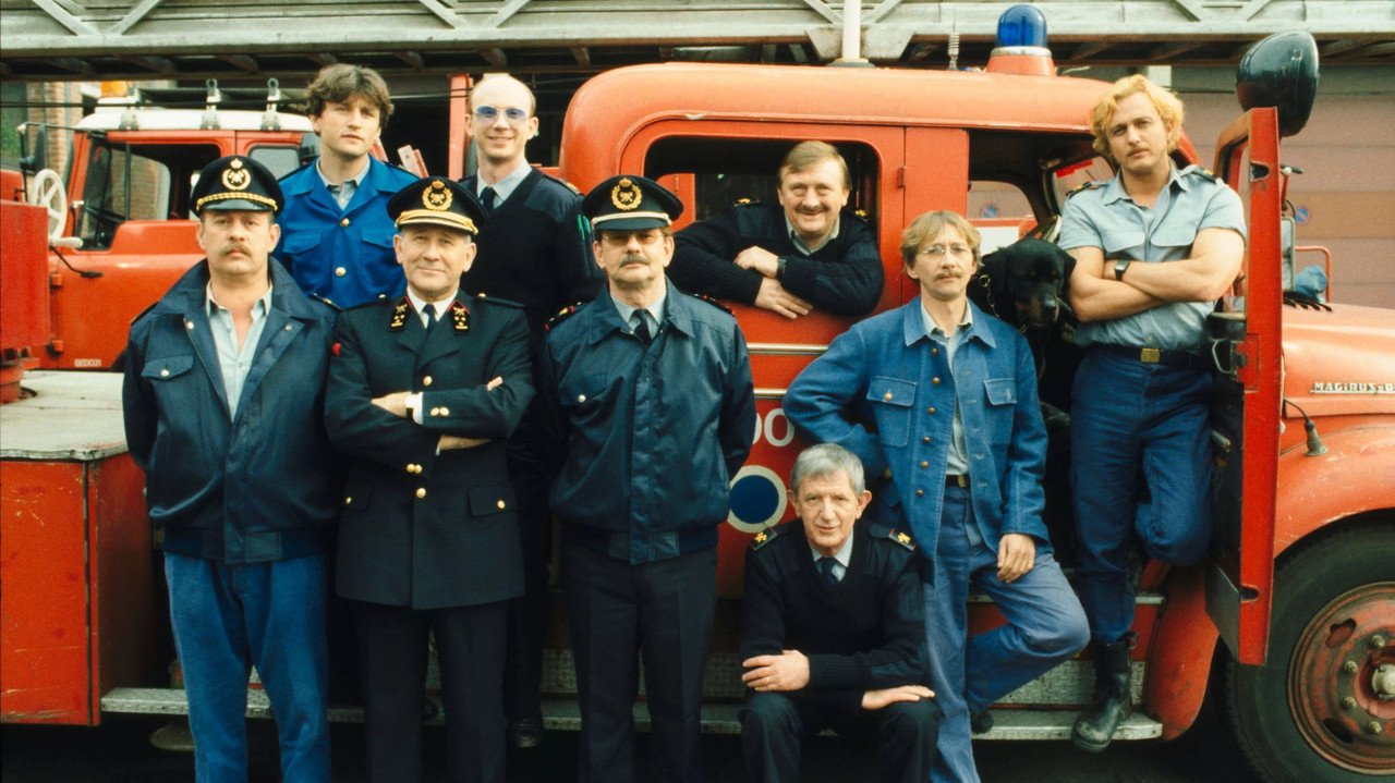 Alfa Papa Tango backdrop