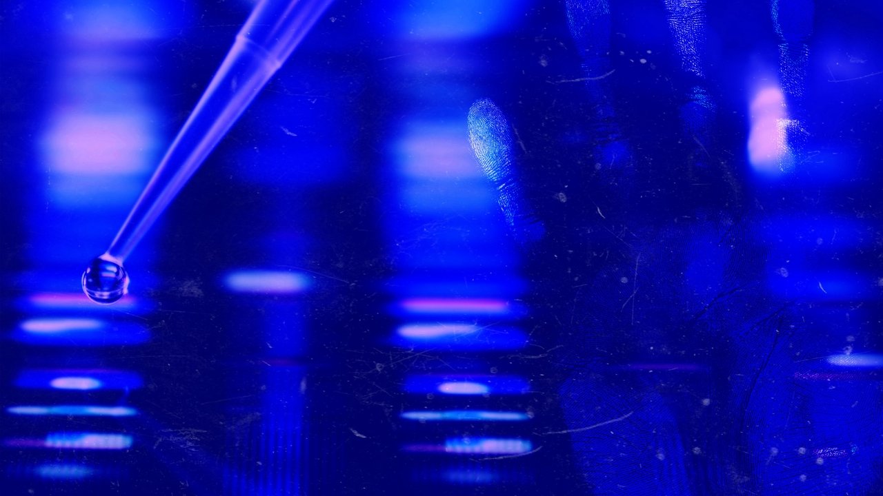 Forensic Files II backdrop