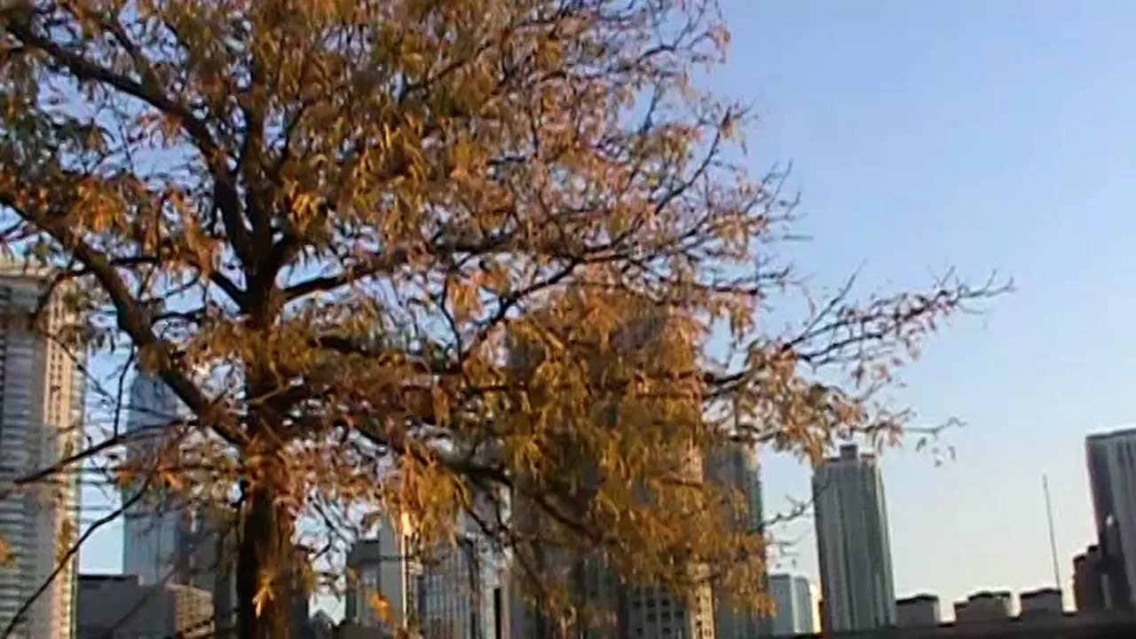 It's Great to be Alive! backdrop