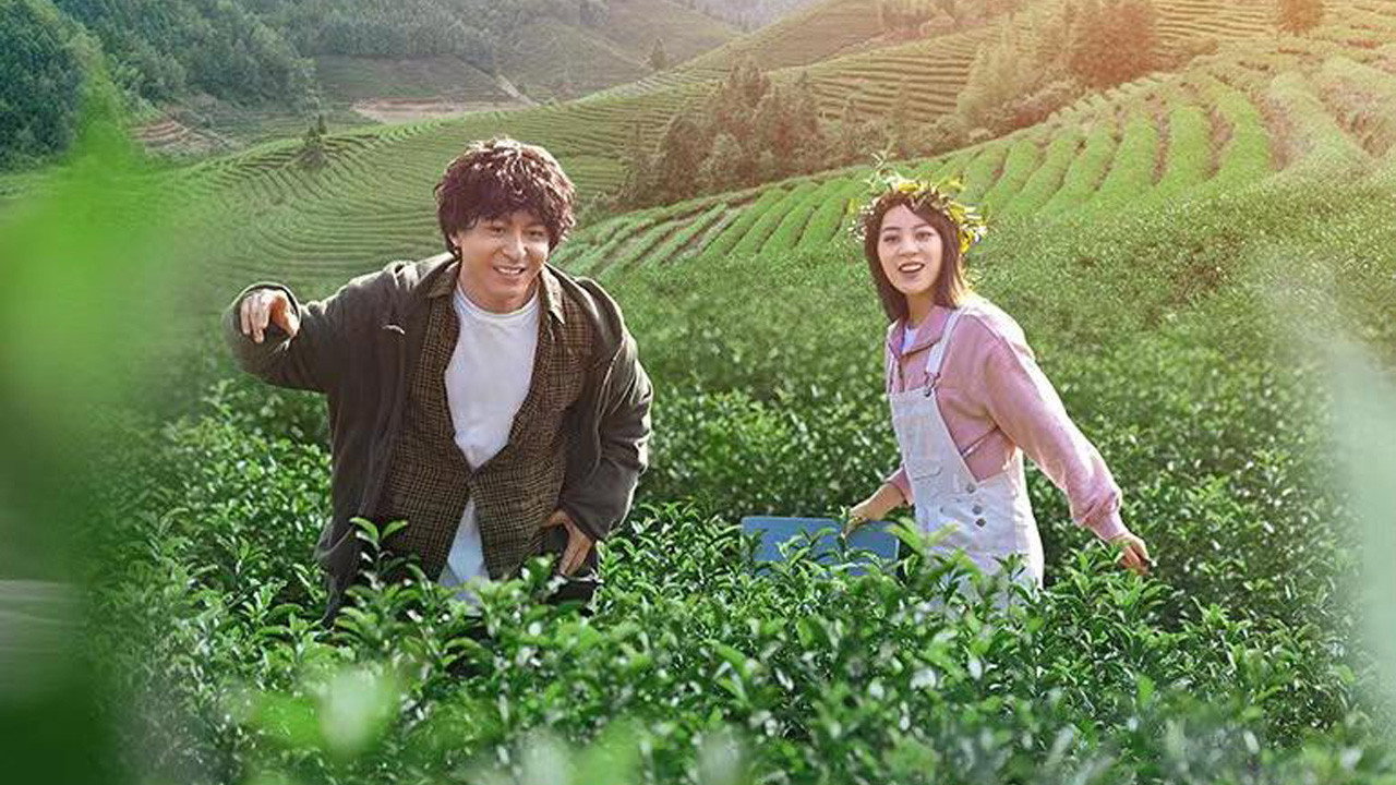 Grandpa Tea backdrop