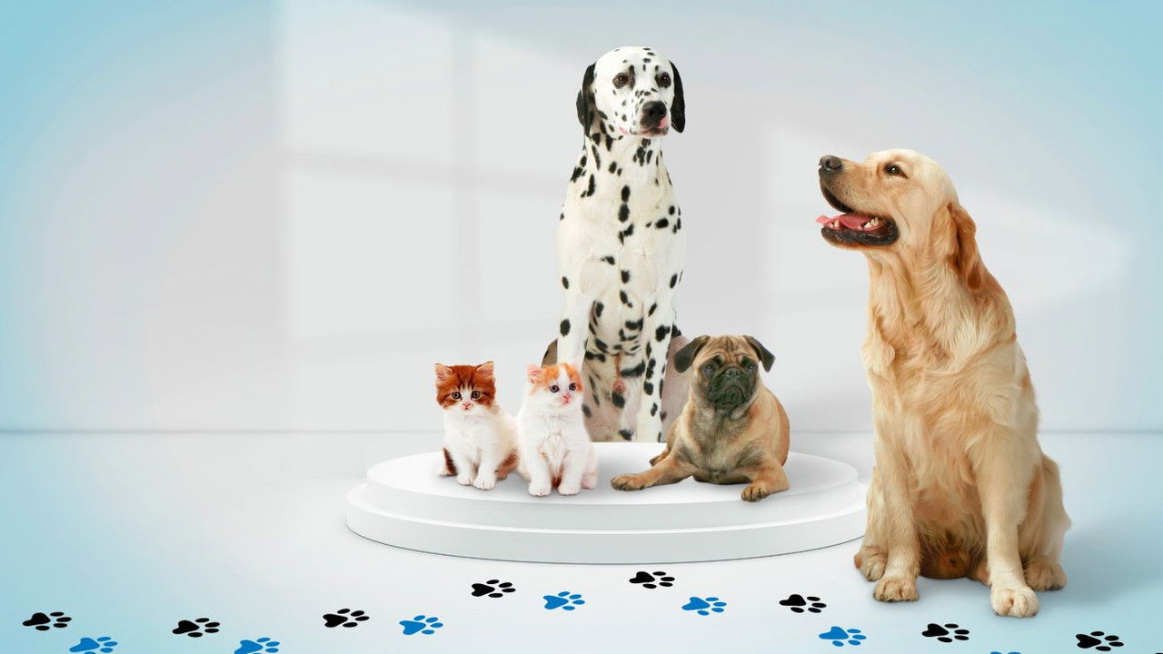 A l'école des vétos backdrop