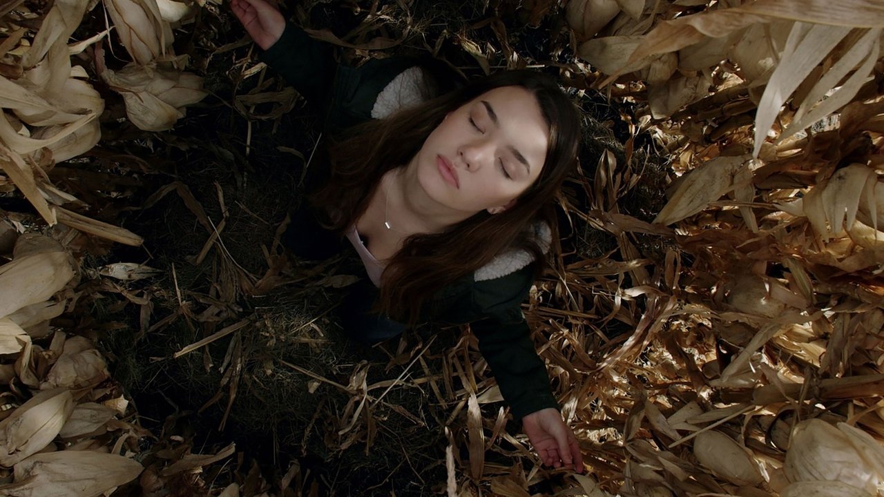 The Corruption of Divine Providence backdrop