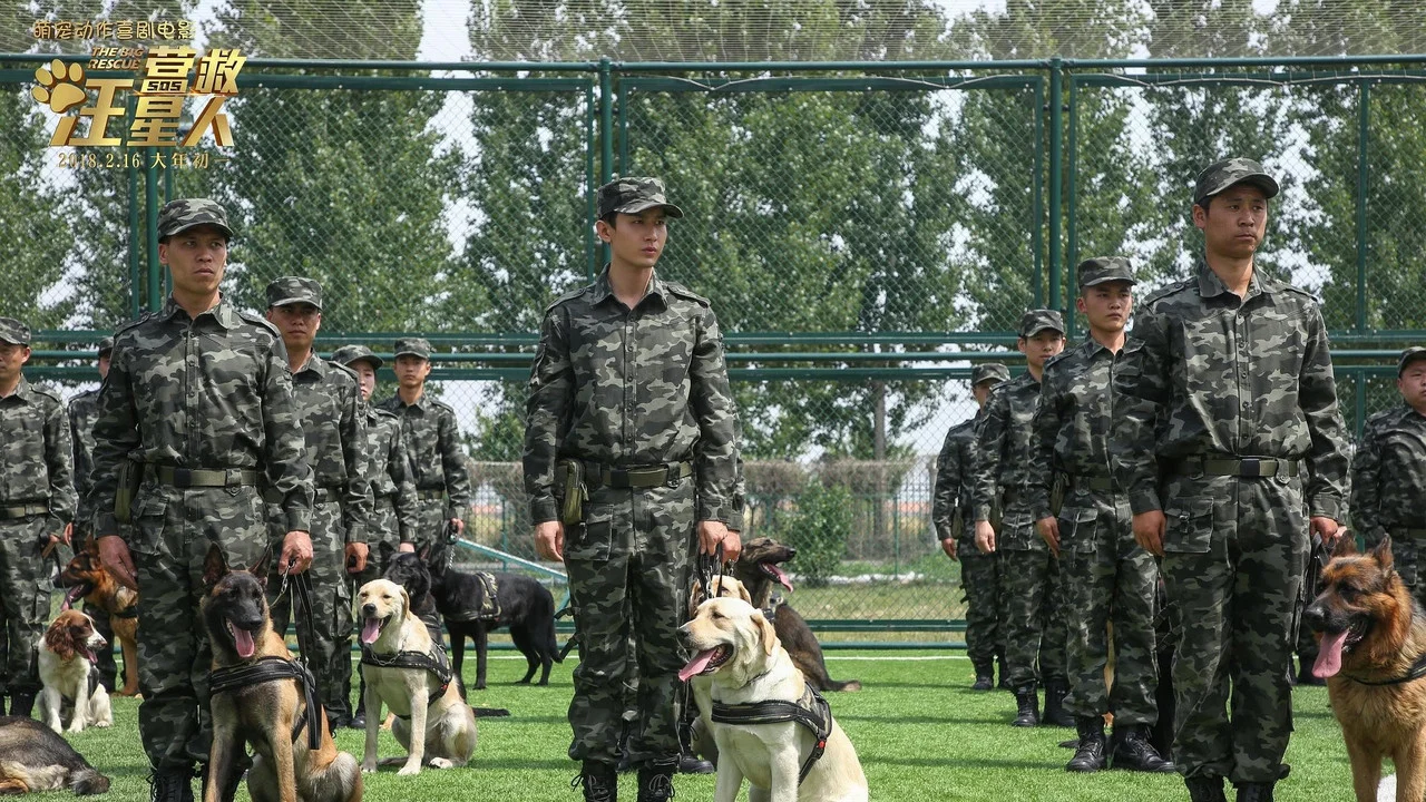 The Big Rescue backdrop