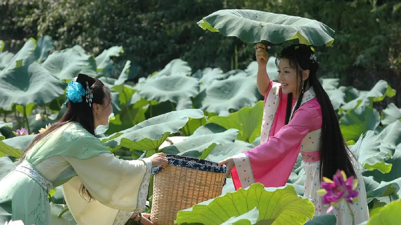 清风明月佳人 backdrop