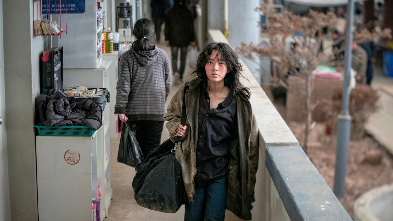 Concrete Market backdrop