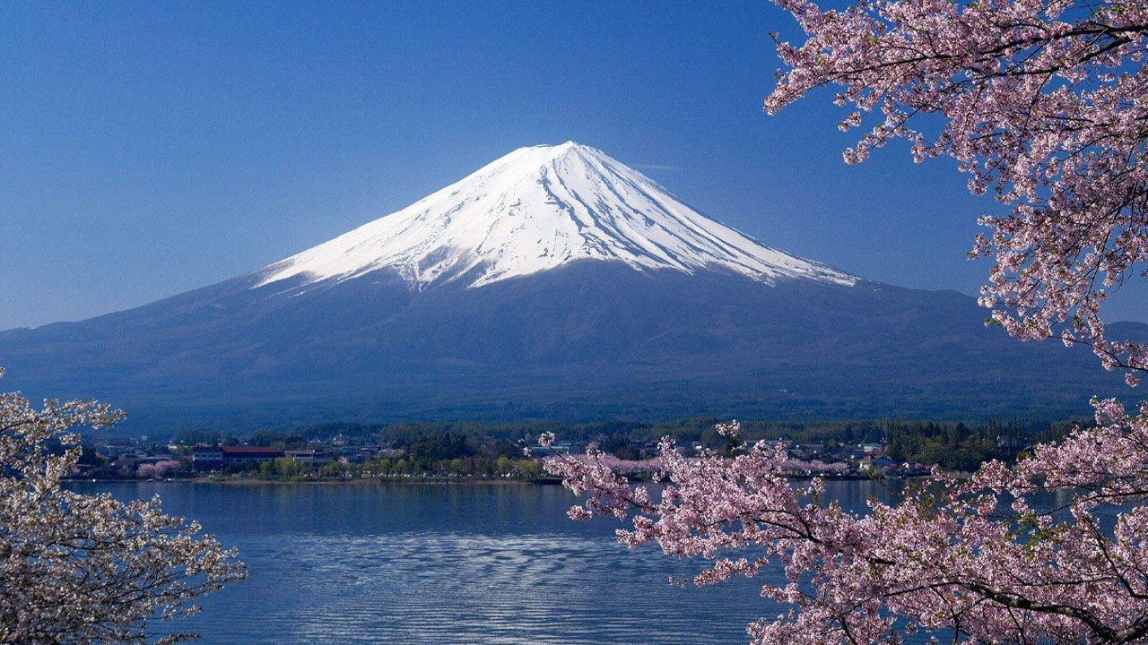 Professional: Shigoto no ryûgi backdrop