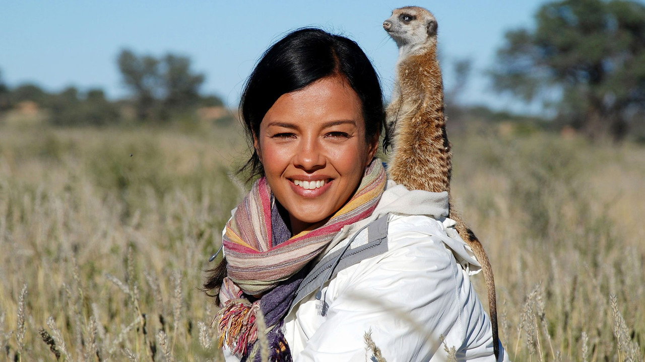 Animals in Love backdrop
