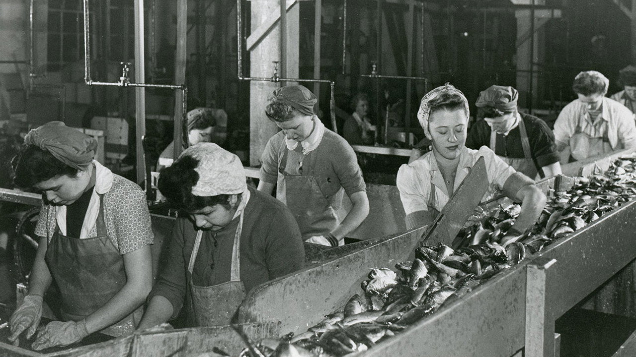 Working People: A History of Labour in British Columbia backdrop