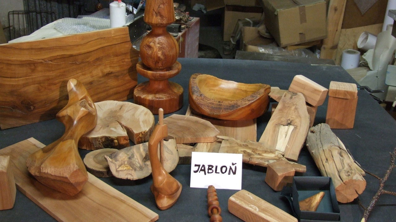 Kus dřeva ze stromu backdrop