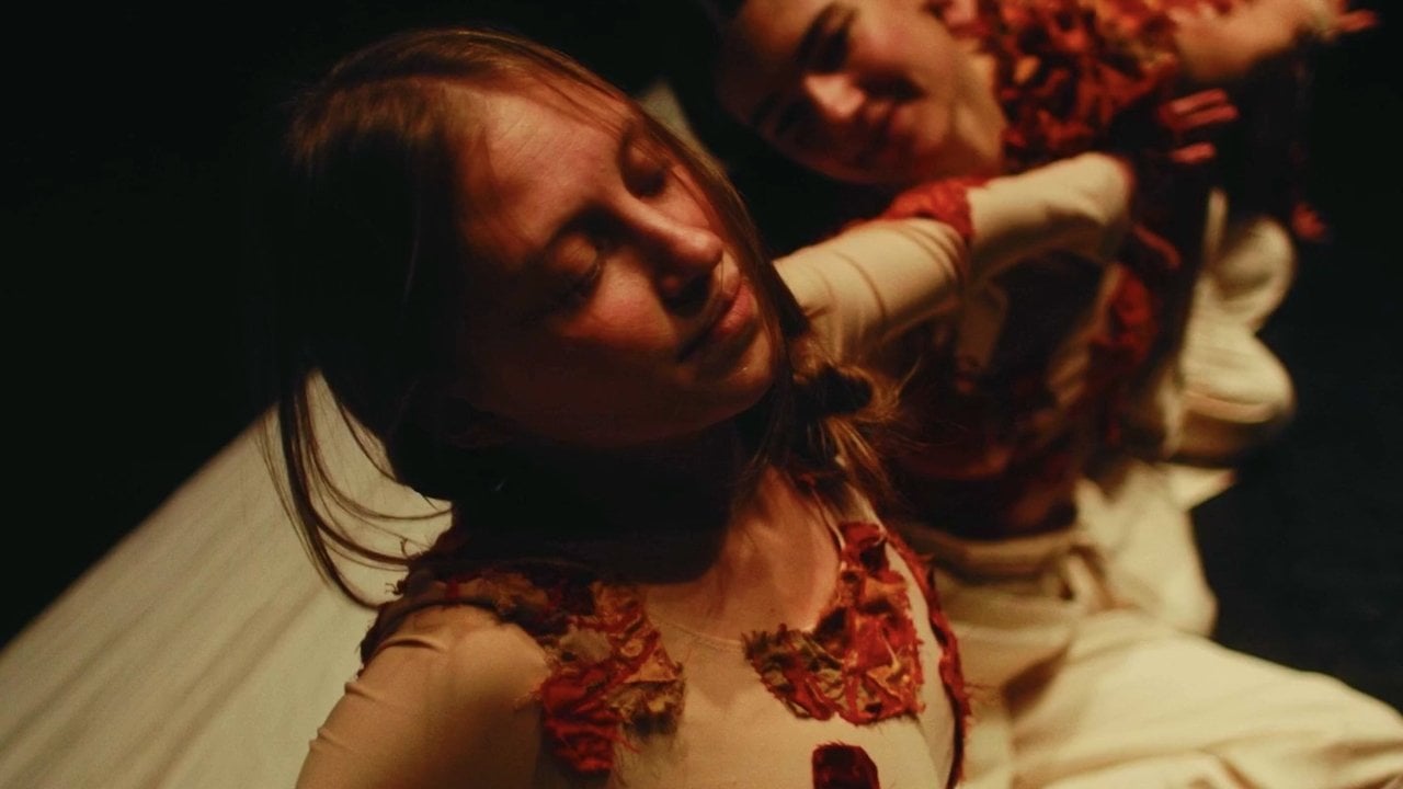 Match in a Haystack backdrop