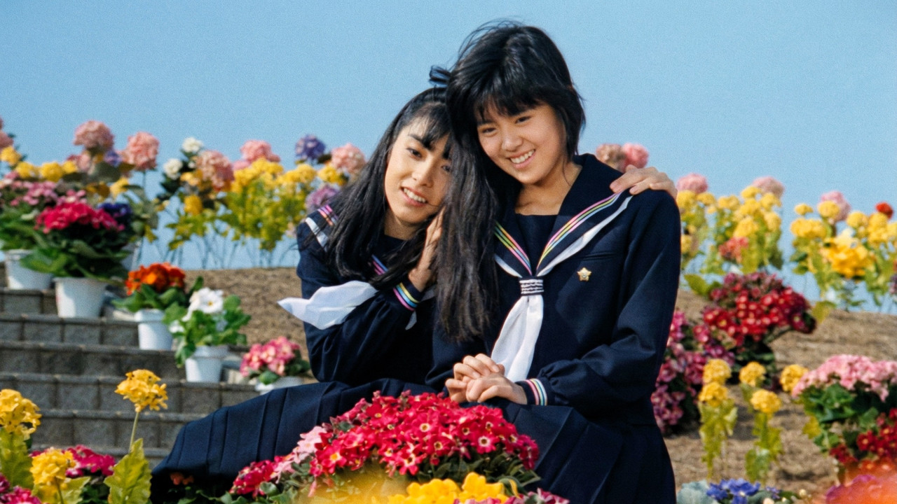 The Maidens of Aries backdrop