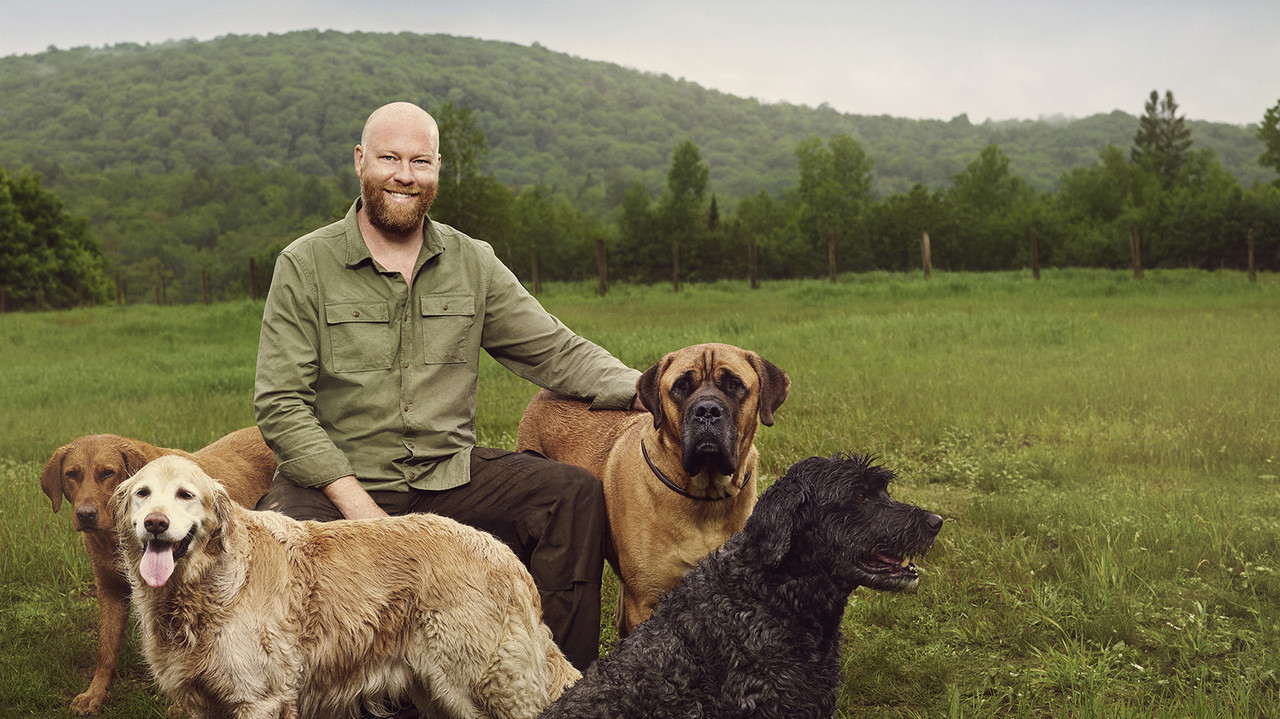 Vies de chiens backdrop