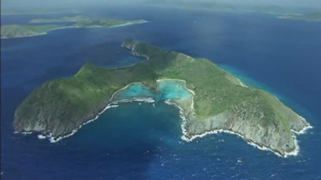Wild Caribbean backdrop