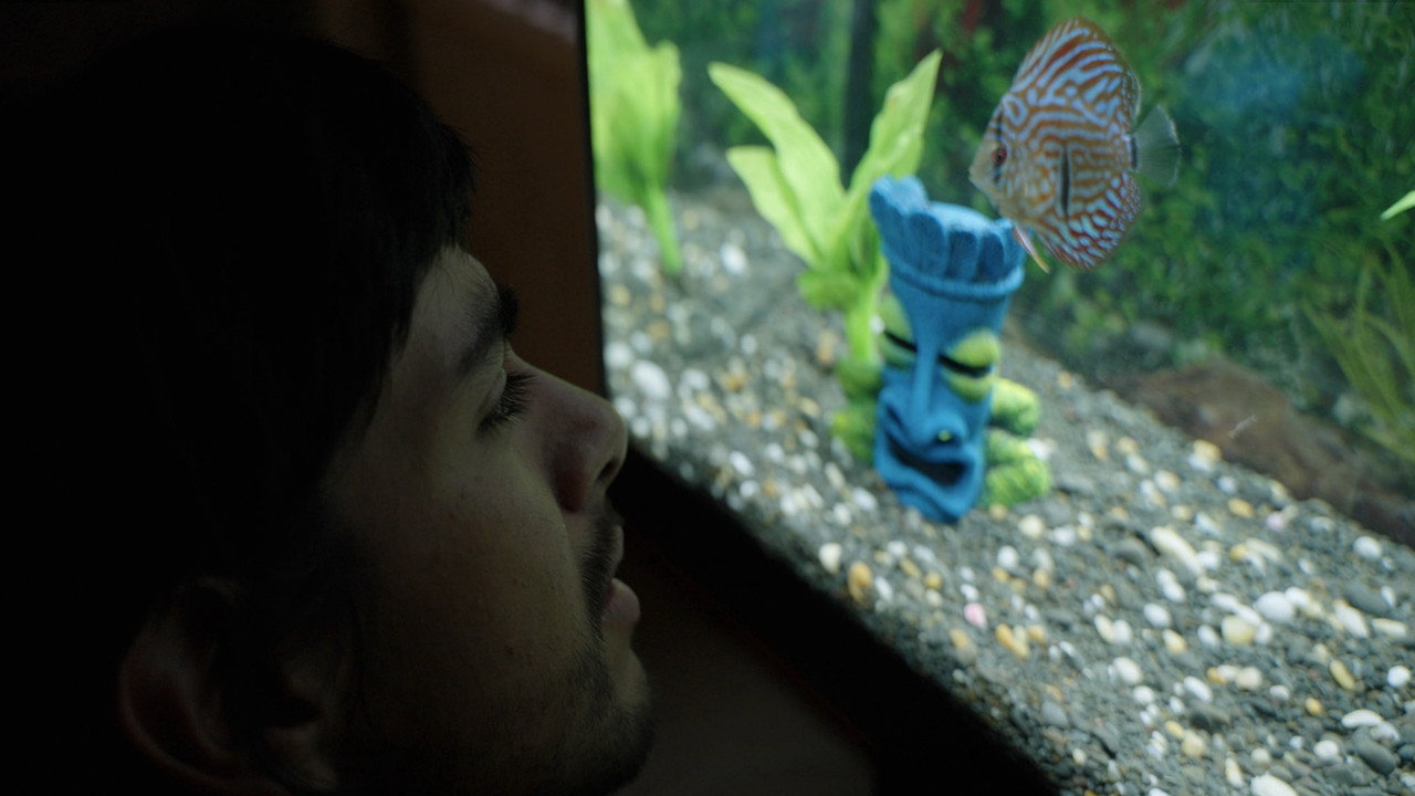 Notes from a Fish backdrop