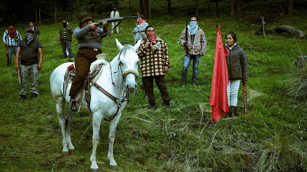 A History of Love and War backdrop