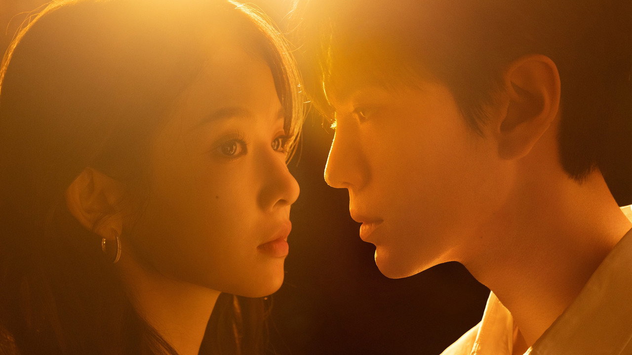 The Warmth in the Dark backdrop