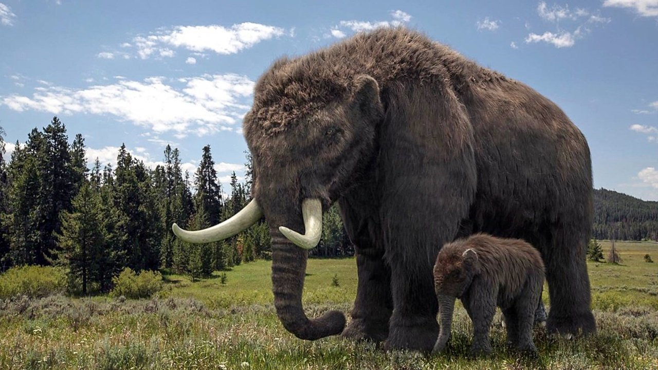 Ice Age Giants backdrop