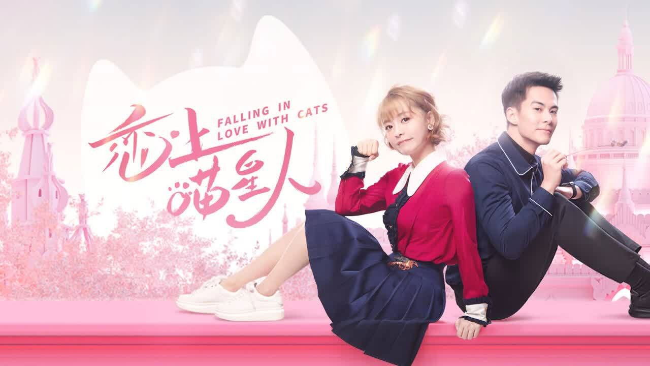 Falling in Love With Cats backdrop