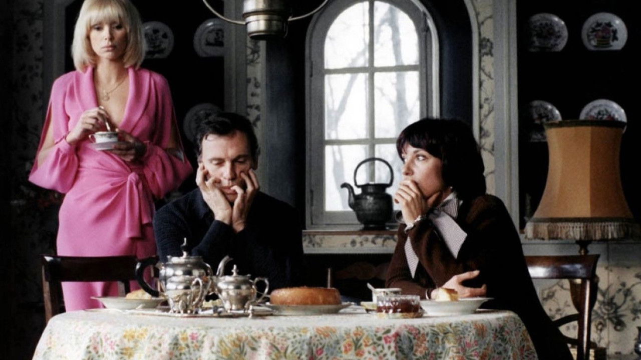 The Probability Factor backdrop