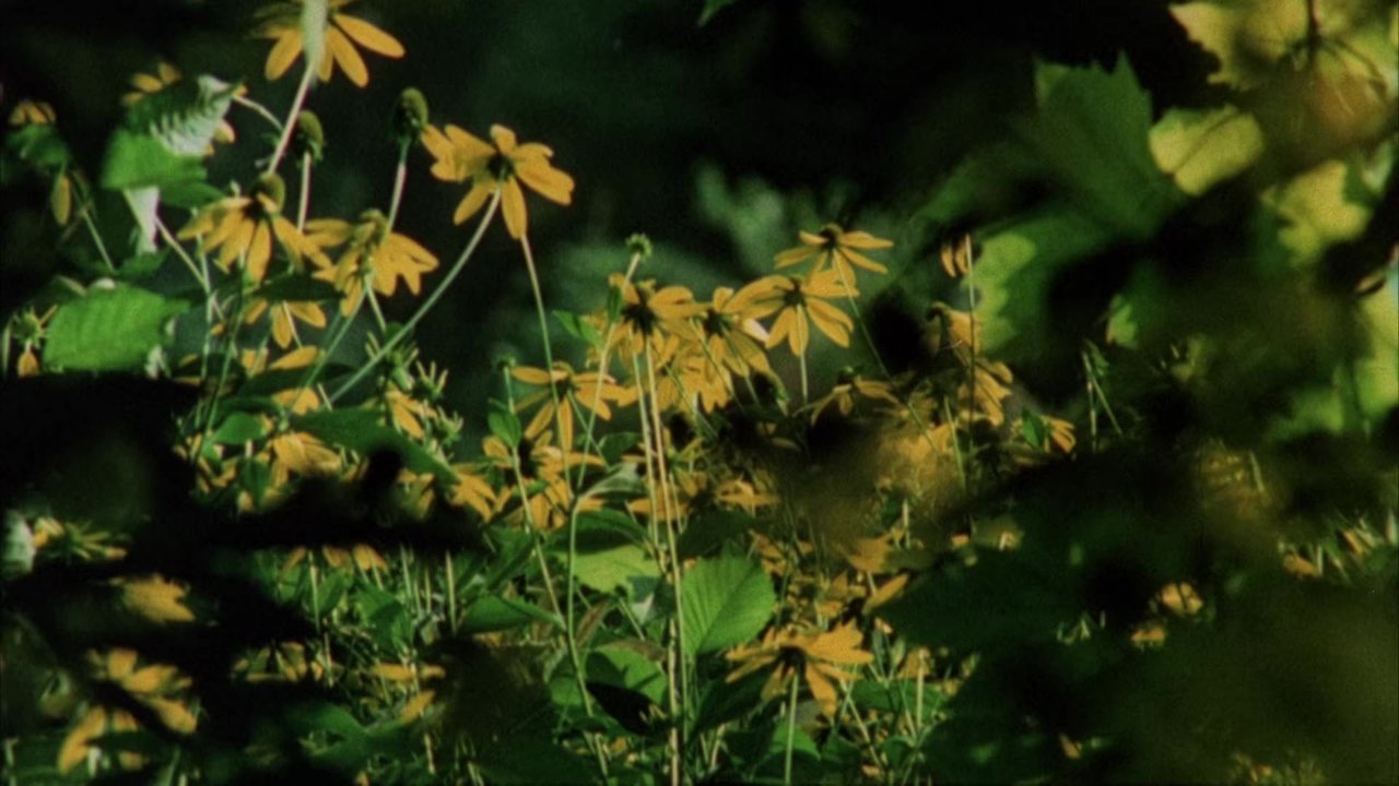 Private Vices, Public Virtues backdrop