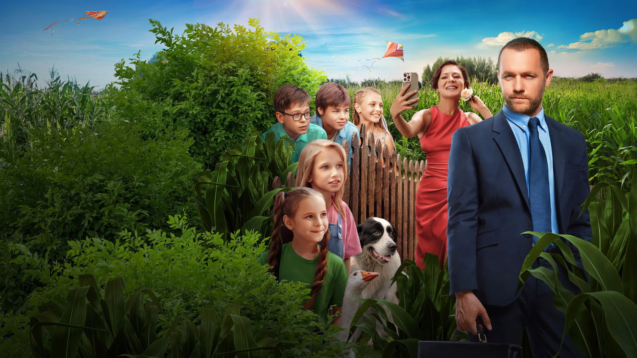 Field of Miracles backdrop