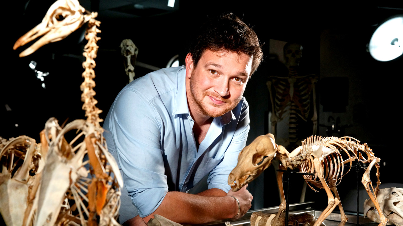 Secrets of Bones backdrop