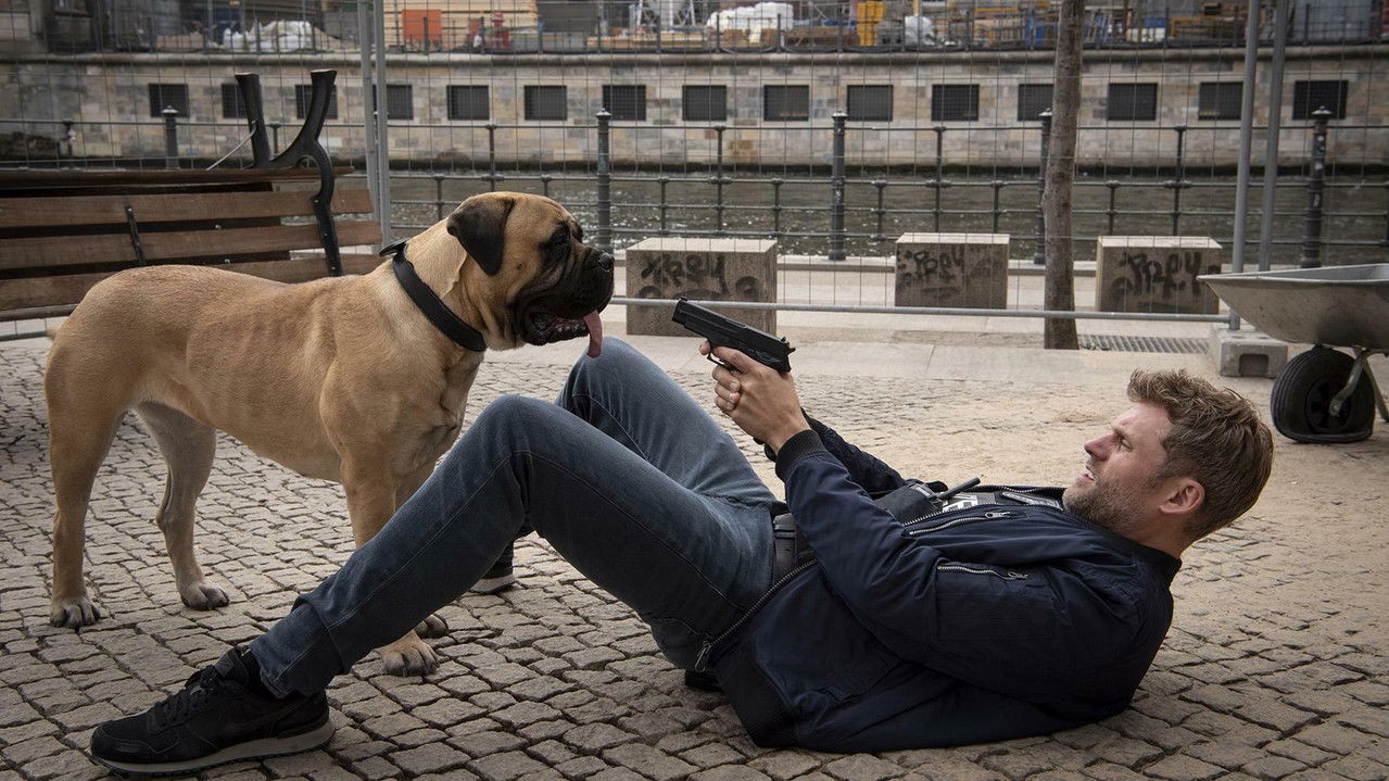 Der Bulle und das Biest backdrop