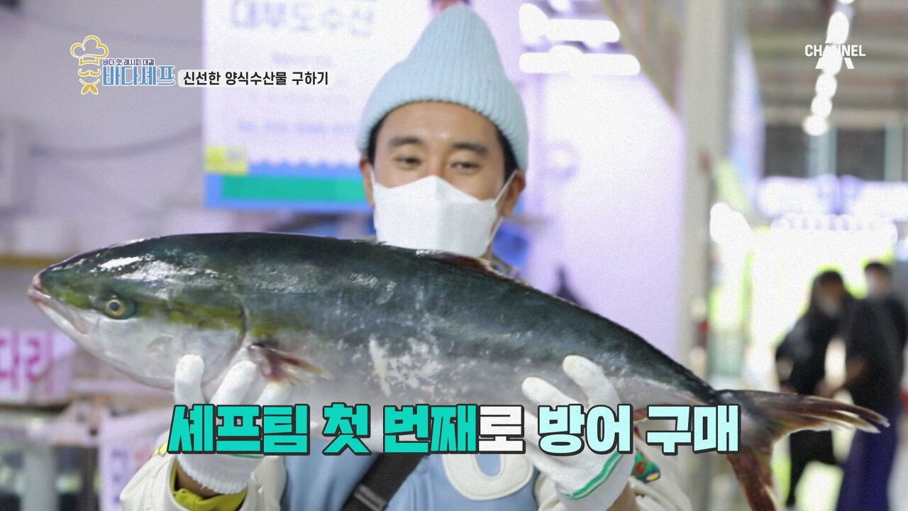 바다셰프 backdrop