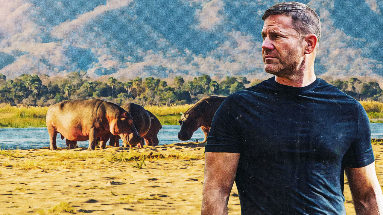 Hippo Watch with Steve Backshall backdrop