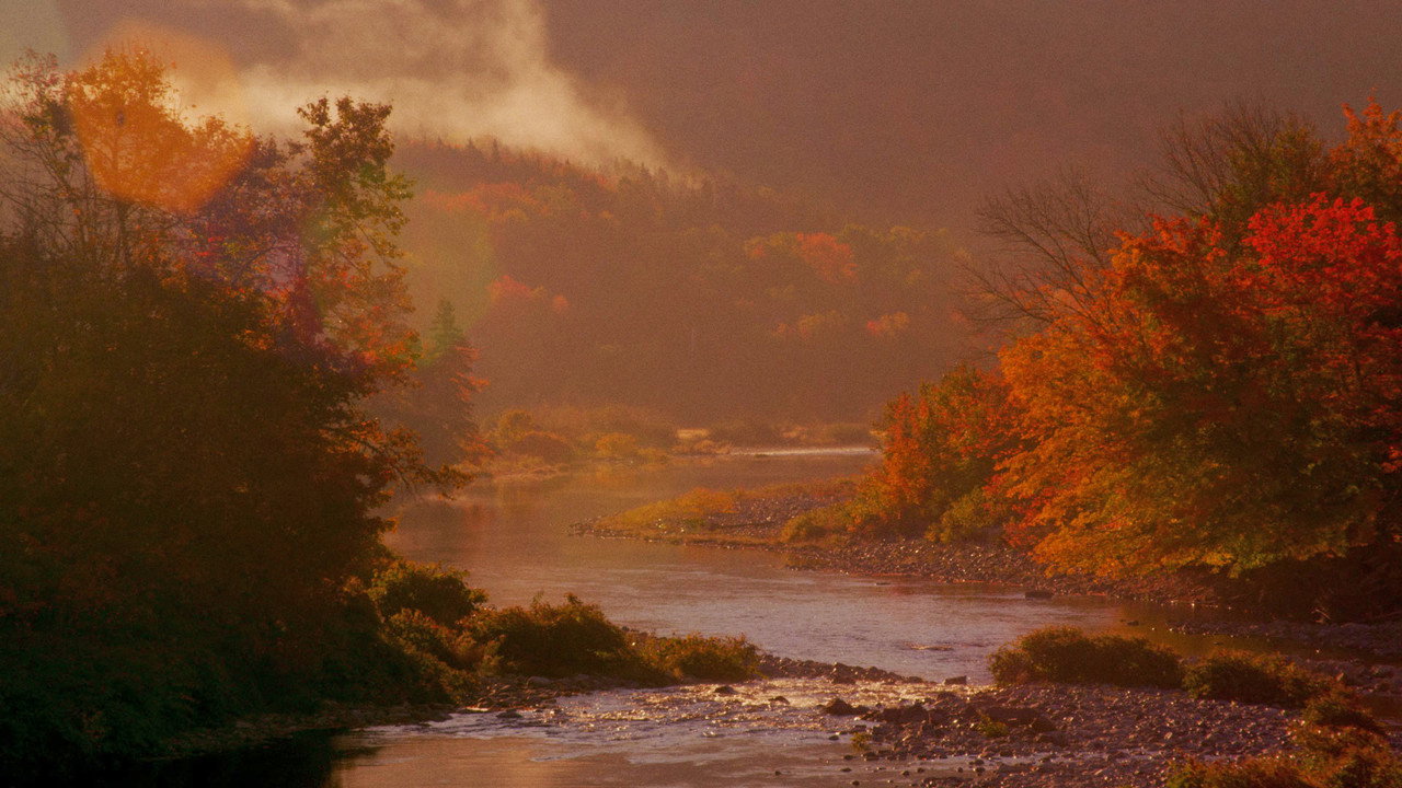 Life's Work: Six Conversations with Makers backdrop