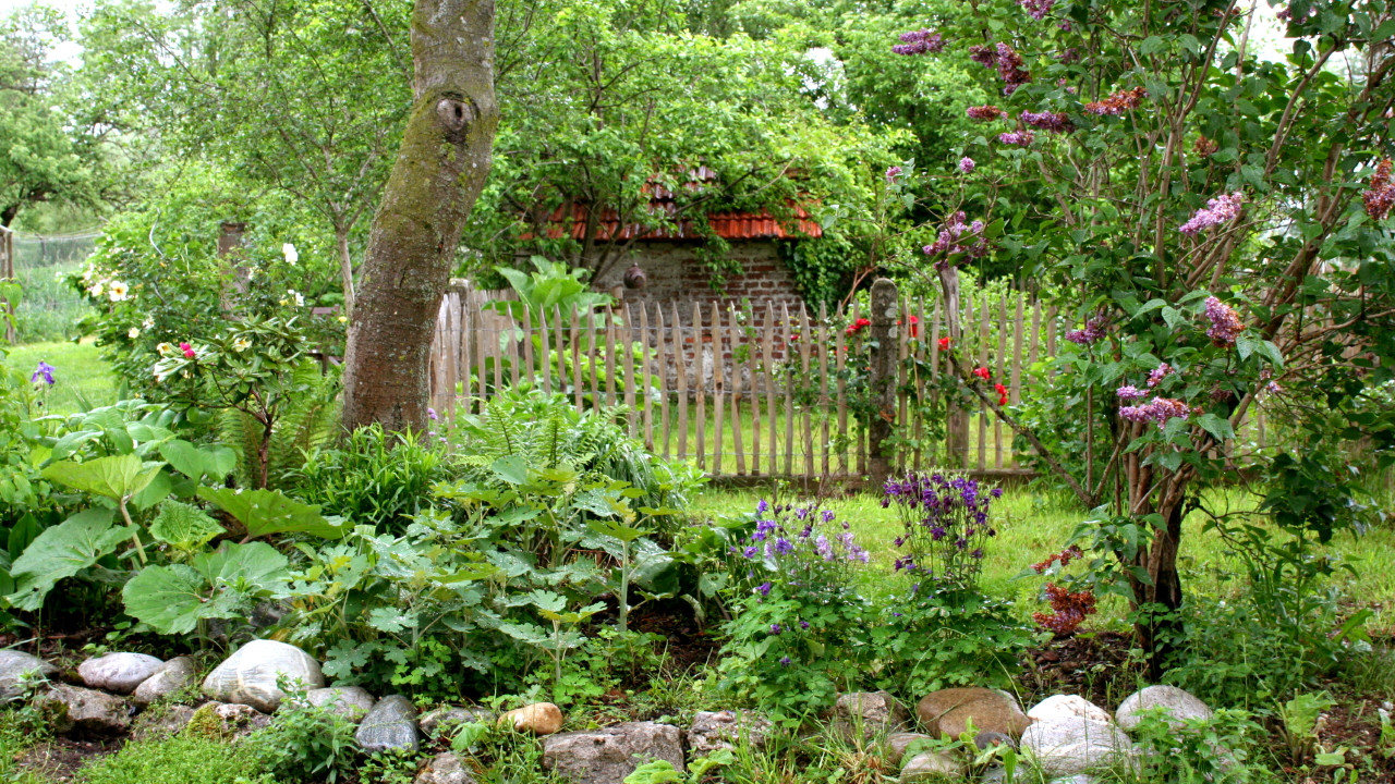 Geheimnisvoller Garten backdrop