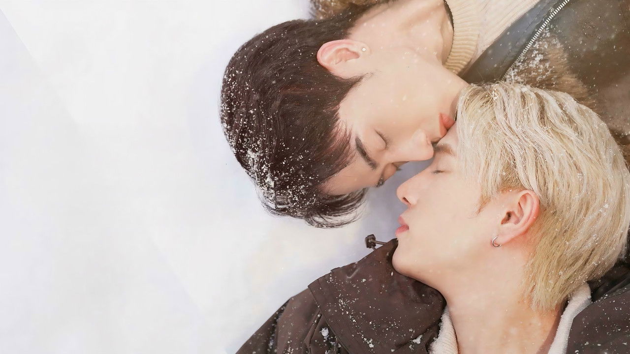 Kiseki Miracle Season backdrop