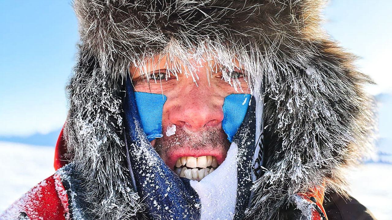 Peltsin toinen luonto backdrop
