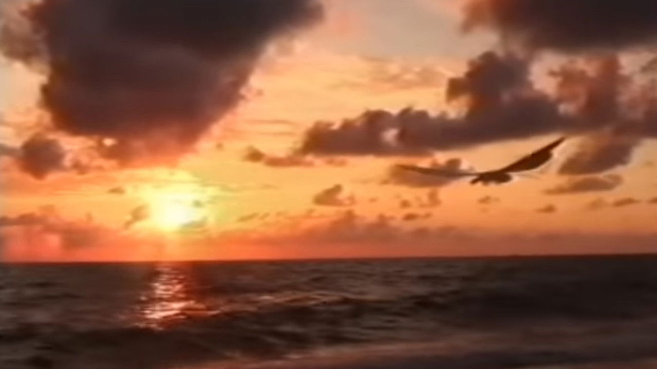 Superfauna Safari backdrop