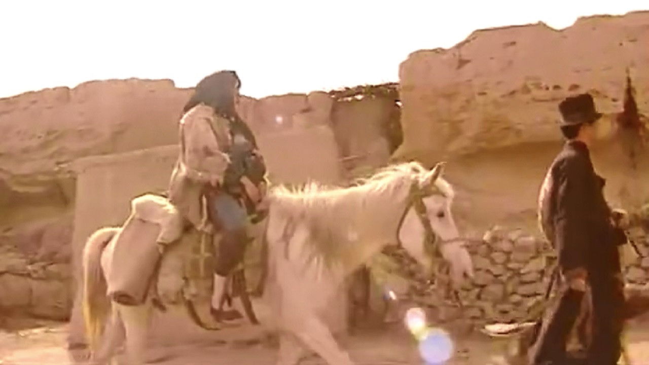 老旦是一棵树 backdrop