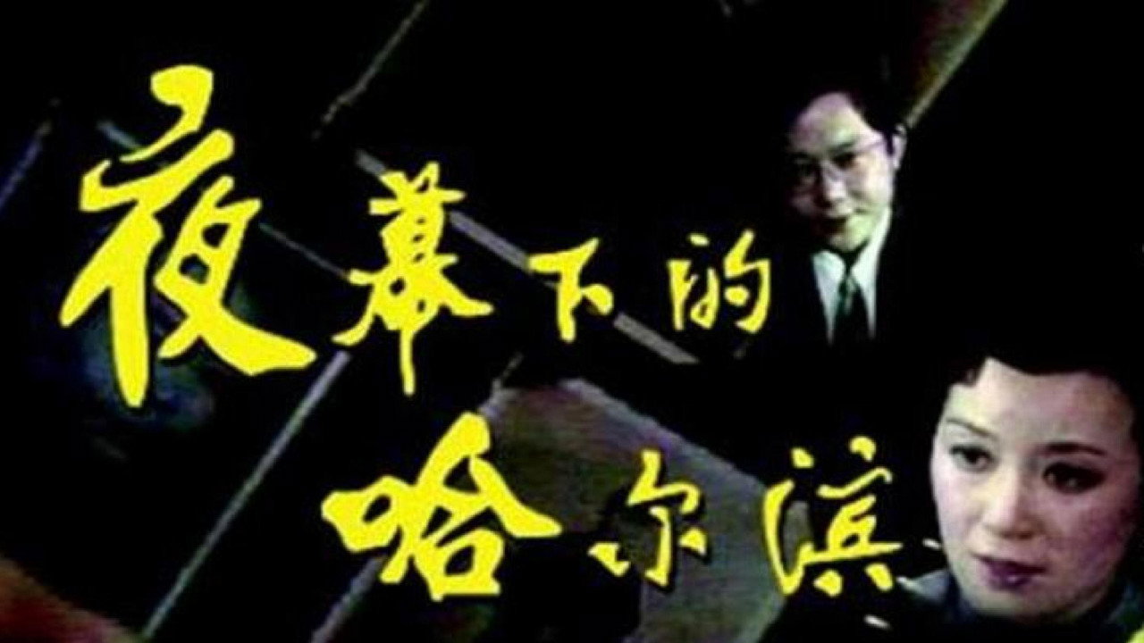 夜幕下的哈尔滨 backdrop