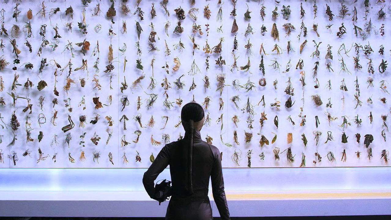 El Fin del Mundo backdrop